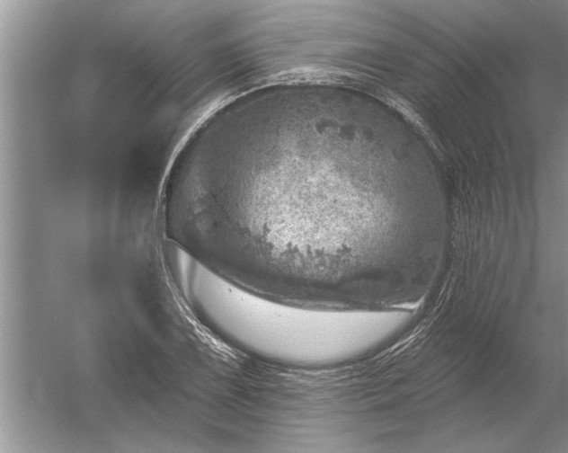 X0000052571075200507152246