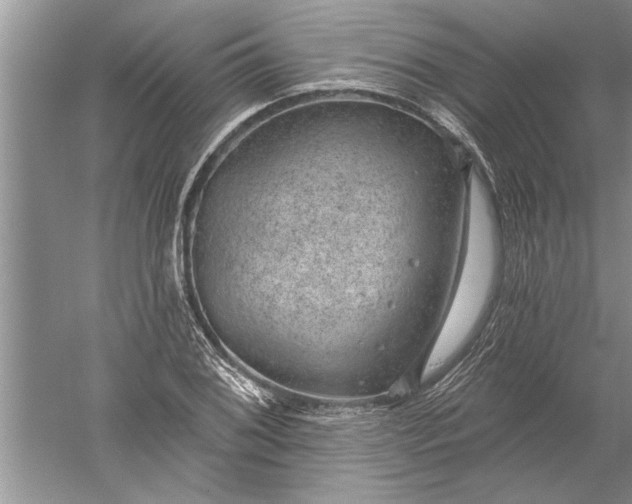 X0000052571076200507152246