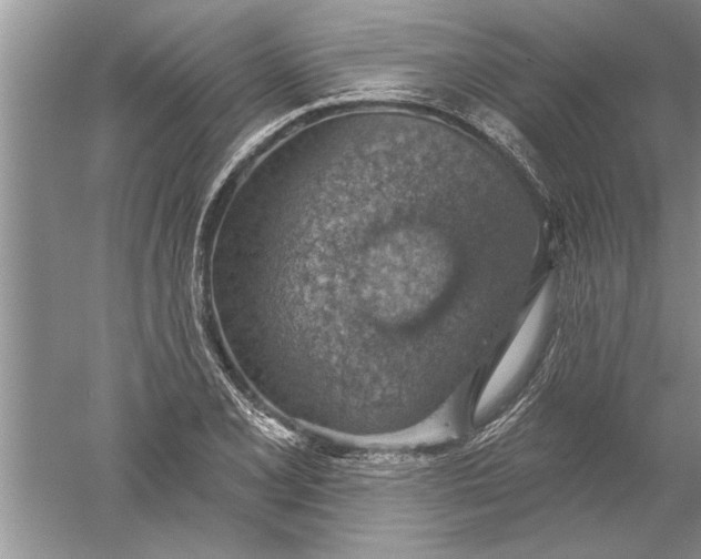 X0000052571077200507152246