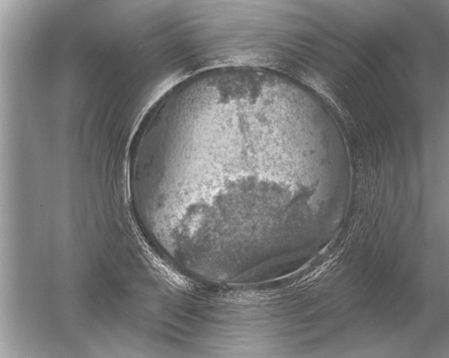 X0000052571079200507152246