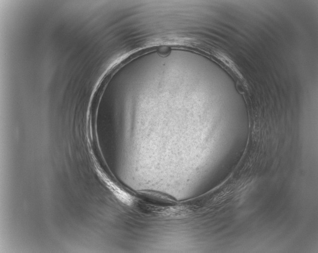 X0000052571080200507152246