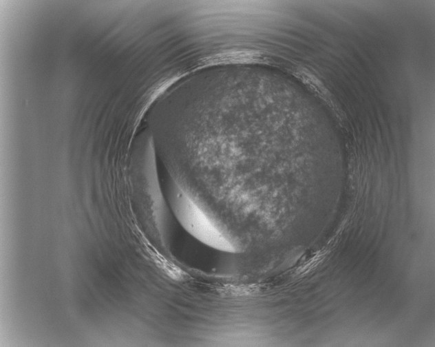 X0000052571081200507152246