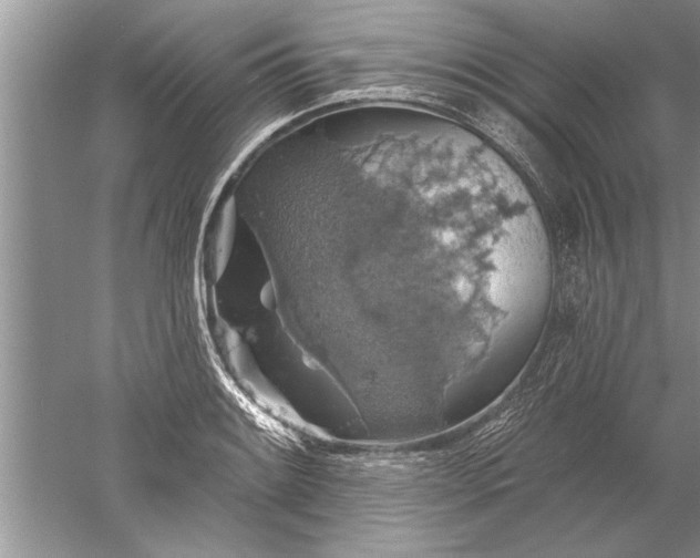 X0000052571084200507152246