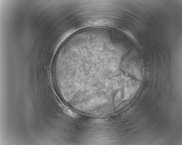 X0000052571086200507152246