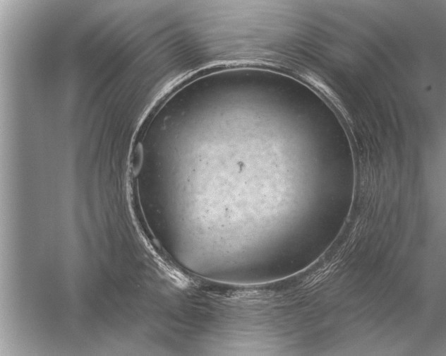 X0000052571093200507152246