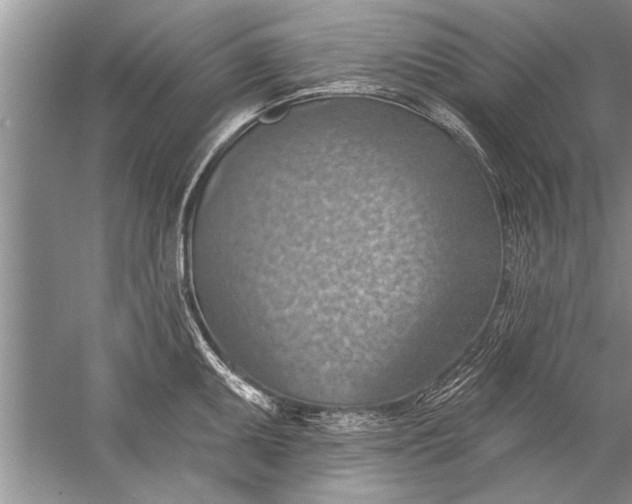 X0000052571095200507152246