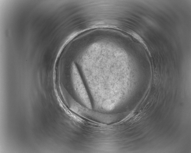 X0000052571096200507152246