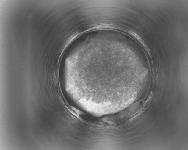 X0000052571097200507152246