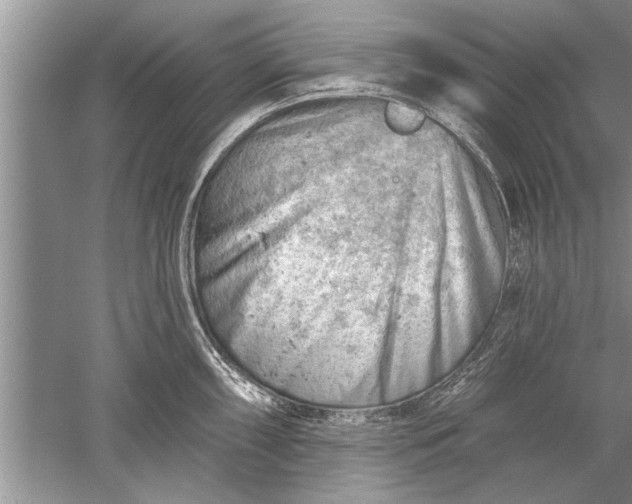 X0000052571098200507152246