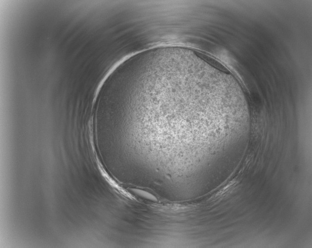 X0000052571100200507152245