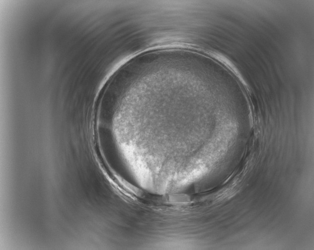 X0000052571101200507152245