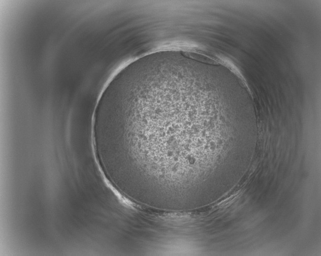 X0000052571103200507152245