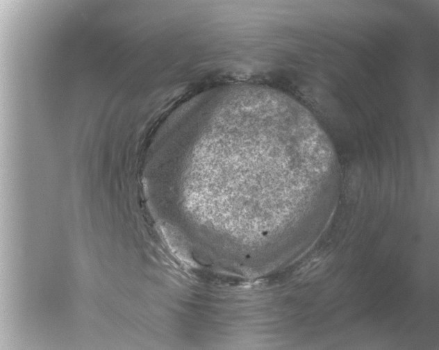 X0000052571105200507152245