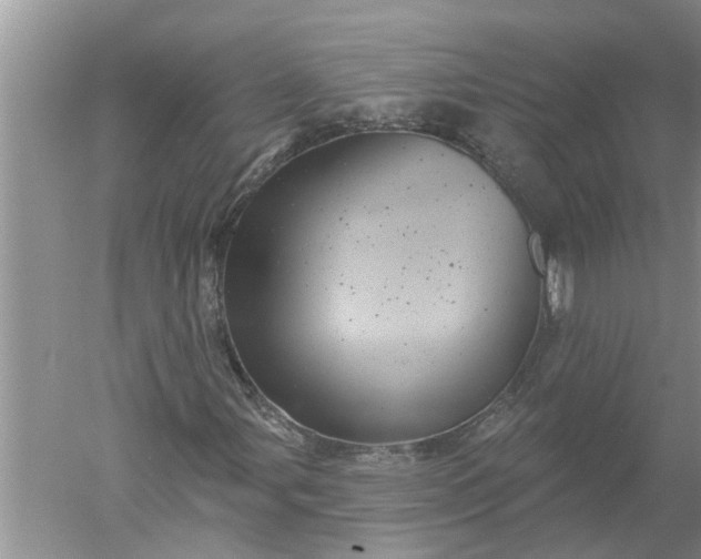 X0000052571107200507152245