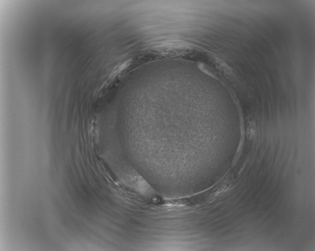 X0000052571108200507152245