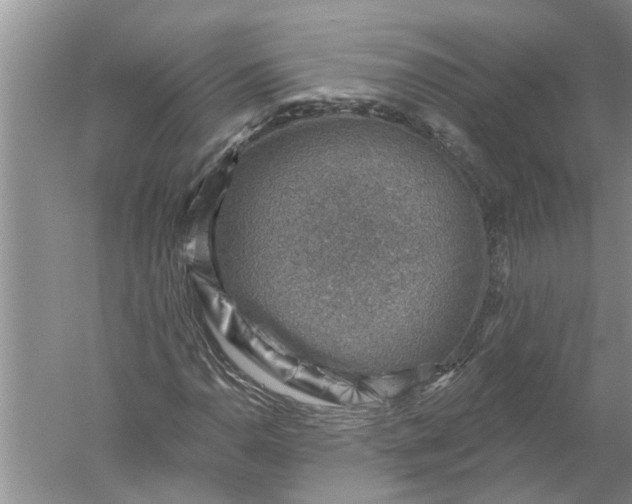 X0000052571110200507152245