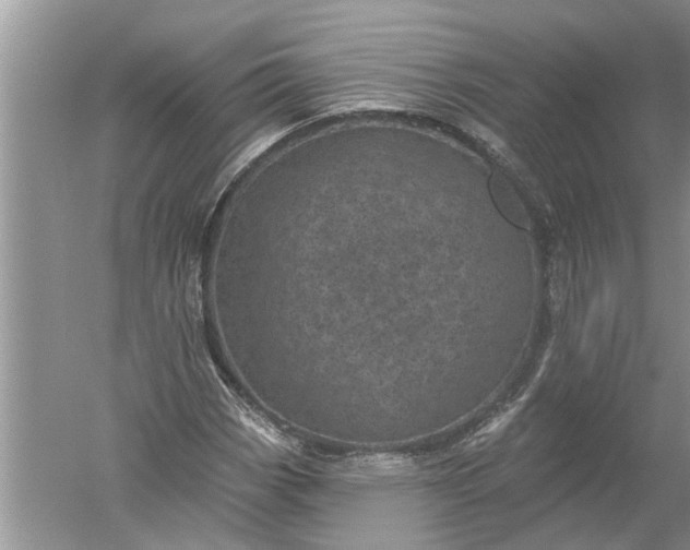 X0000052571113200507152245