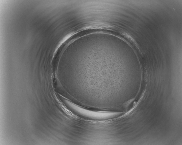 X0000052571114200507152245