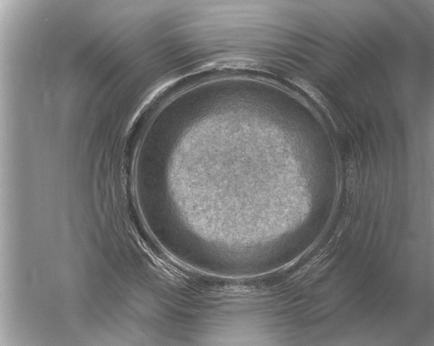 X0000052571115200507152245