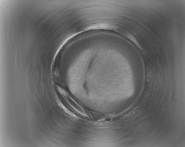 X0000052571116200507152245