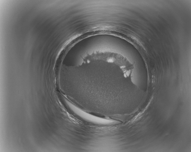 X0000052571117200507152245