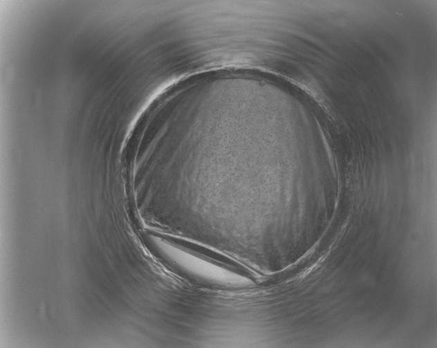 X0000052571118200507152245