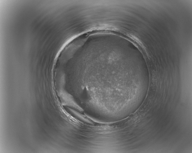 X0000052571120200507152245