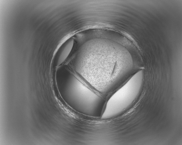 X0000052571122200507152245