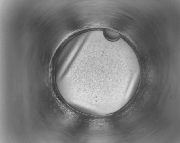 X0000052571126200507152245