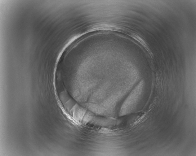 X0000052571128200507152245