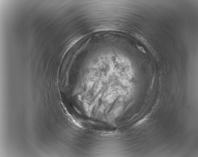 X0000052571129200507152245