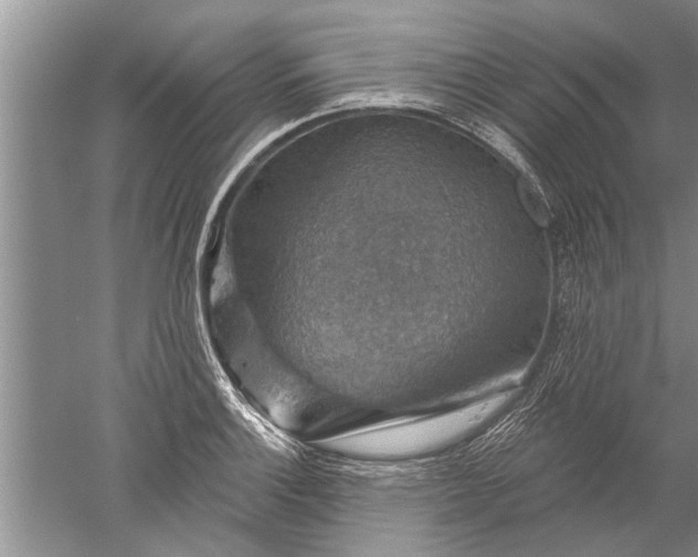 X0000052571132200507152245