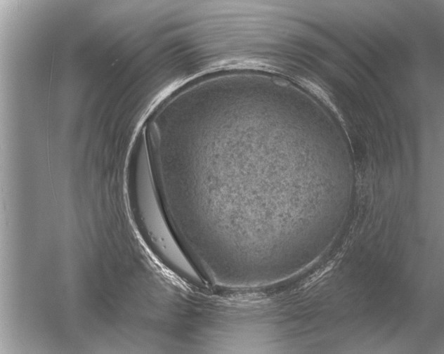 X0000052571133200507152245