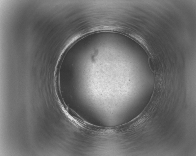 X0000052571135200507152245