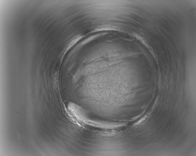 X0000052571137200507152245