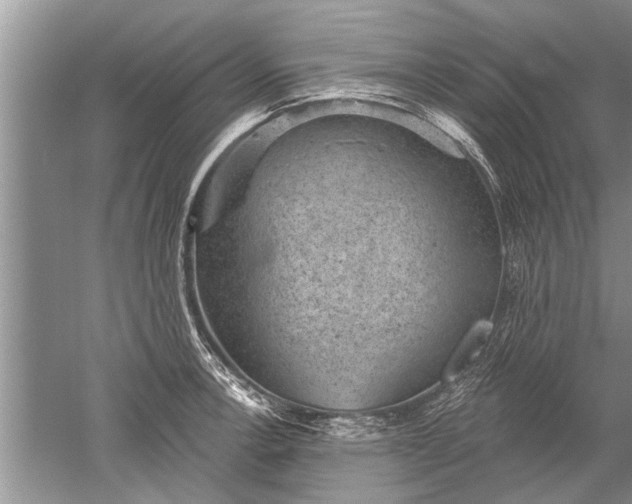 X0000052571138200507152245