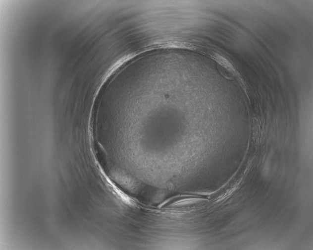 X0000052571141200507152245