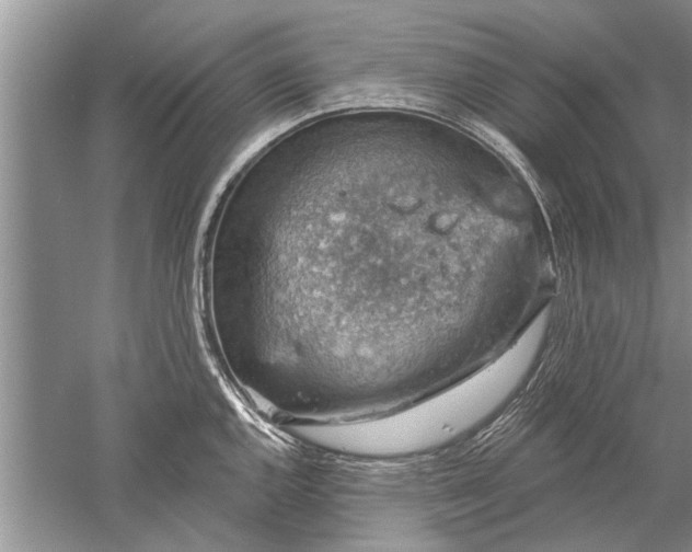 X0000052571144200507152245