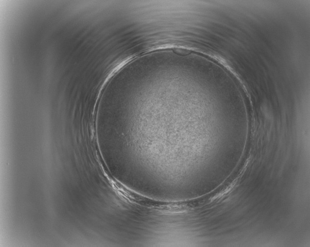 X0000052571145200507152245