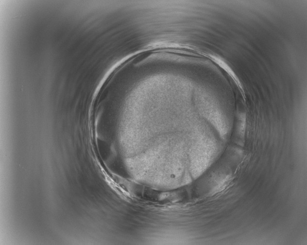 X0000052571148200507152245