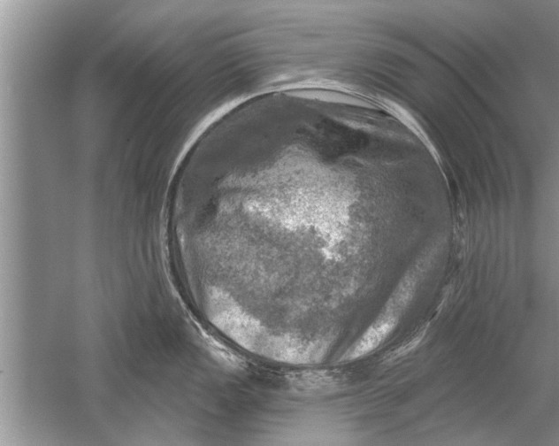 X0000052571149200507152245