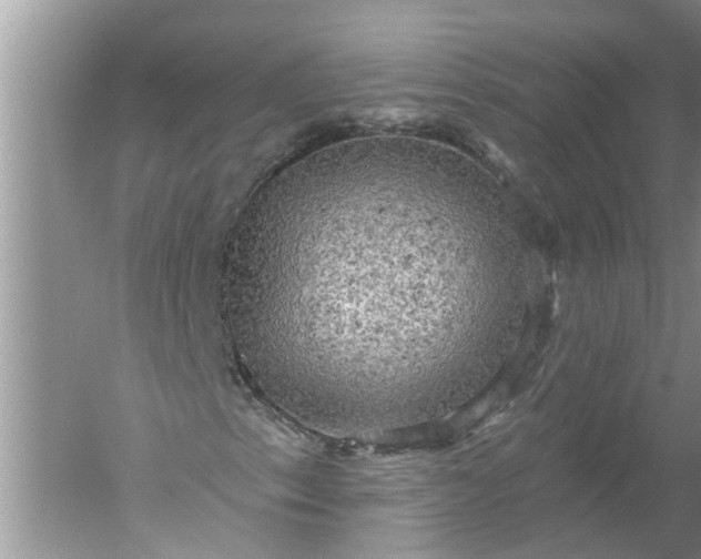 X0000052571153200507152245