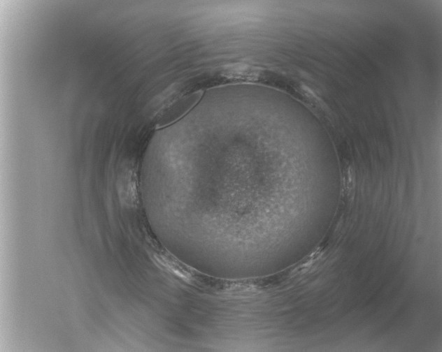 X0000052571154200507152245