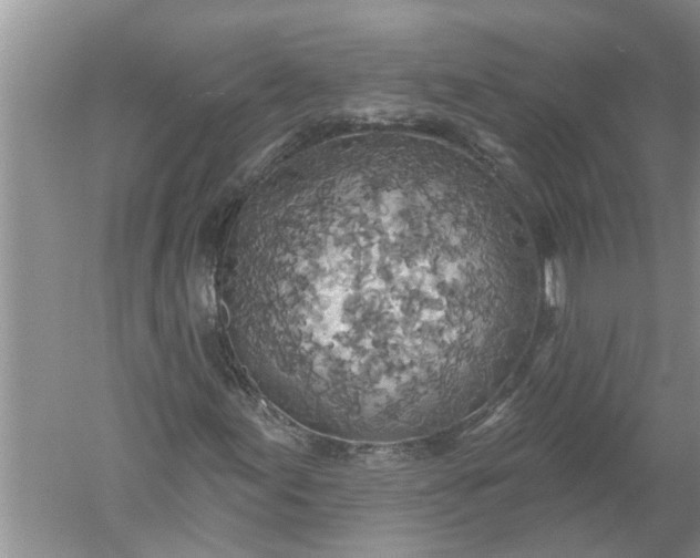 X0000052571155200507152245