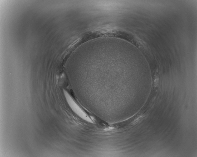 X0000052571156200507152245