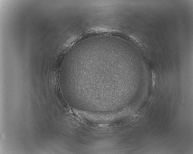 X0000052571157200507152245