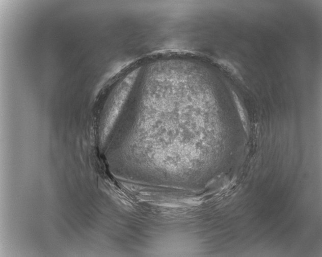 X0000052571159200507152244