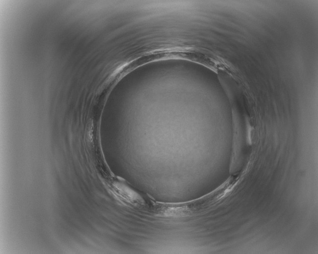 X0000052571161200507152244