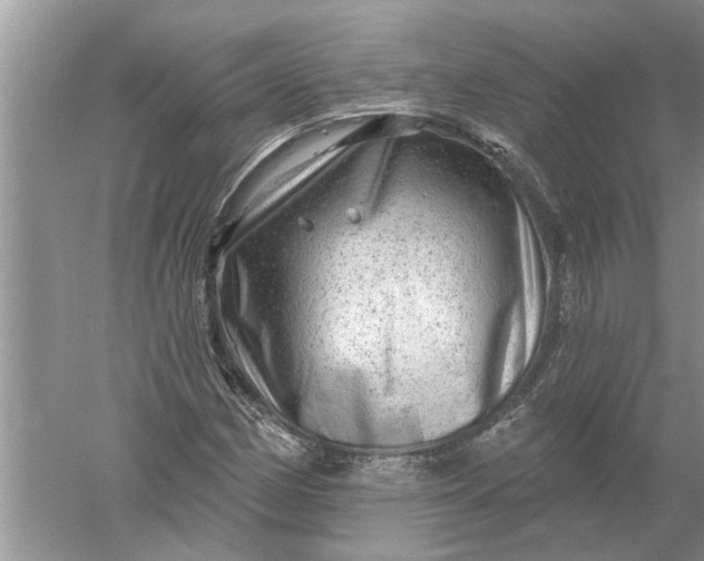 X0000052571162200507152244