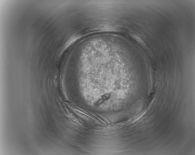 X0000052571163200507152244